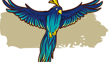 Amazonie
